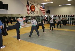 tae kwon do, cage fighting, karate!
