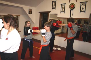 Tae Kwon Do, Karate, Self-defense, ultimate fighting!