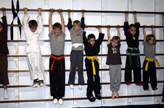 aikido, Karate, combat training, street fighting!