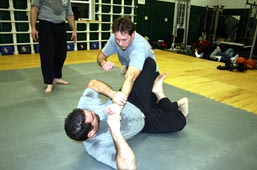 ultimate fighting, cage fighting, martial arts!