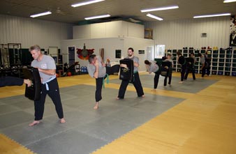 ultimate fighting, mma, kung fu!
