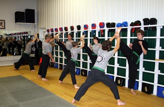 ultimate fighting, self defense, tae kwon do!