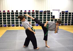 cage fighting, cage, ufc, ultimate!