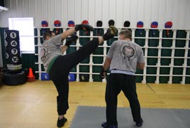 mma, mixed martial arts,kung-fu!