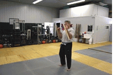 self defense, ultimate fighting, karate, jui jitsu!