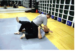 mma, martial arts, karate, grappling!