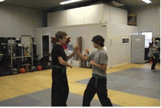 karate, aikido, ultimate fighting, cage fighting!